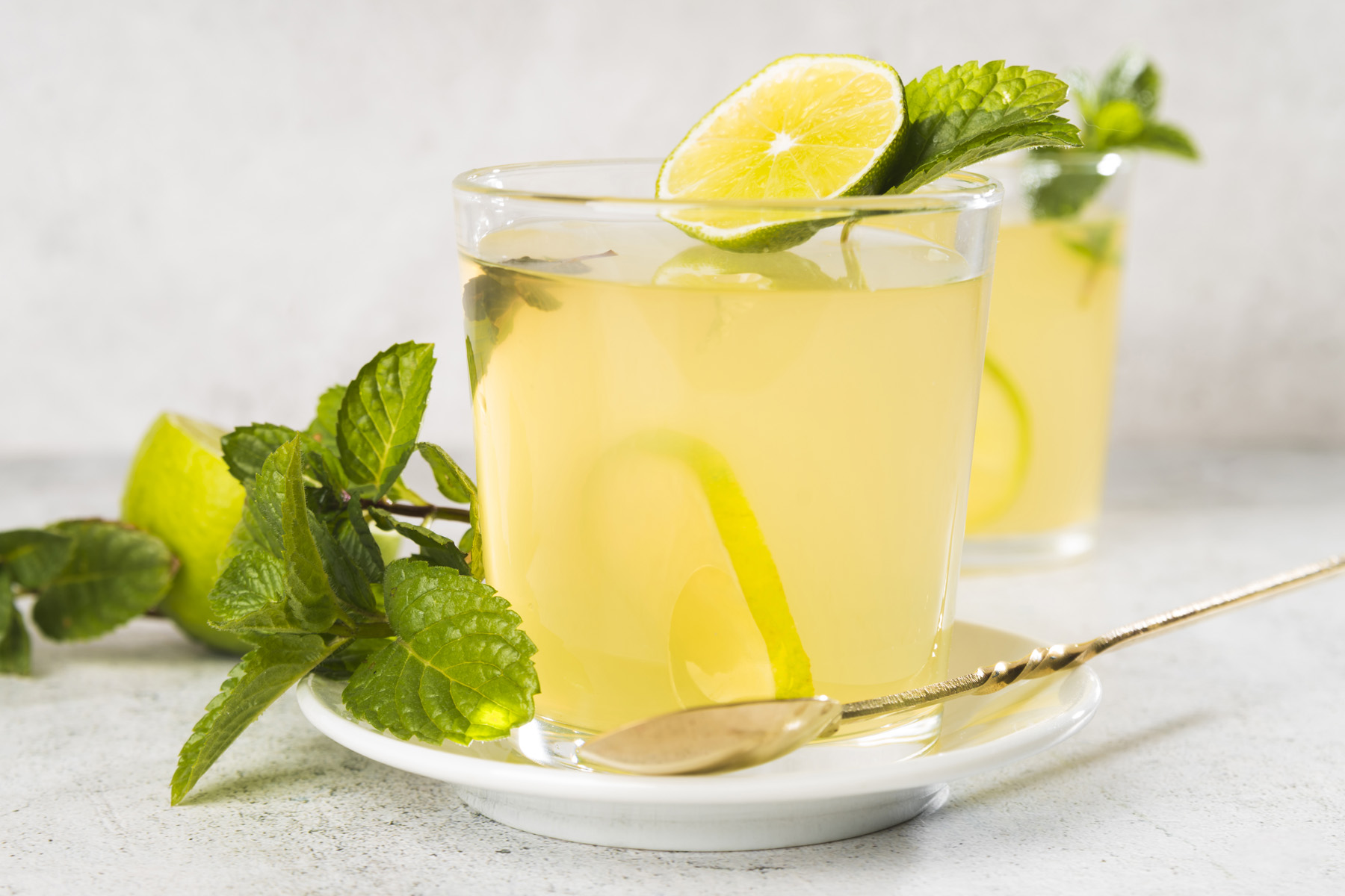 Lemon balm drink recipe for weight loss