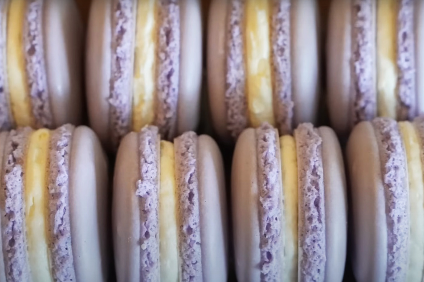 Macaron Recipe without almond flour