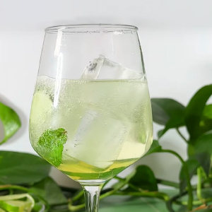Hugo spritz recipe