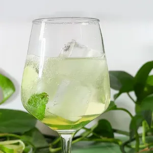 Hugo spritz recipe